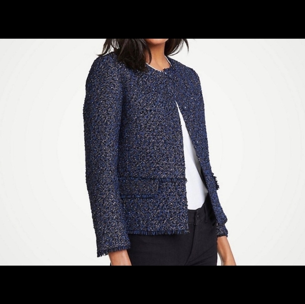 Ann Taylor Metallic Tweed Blazer
